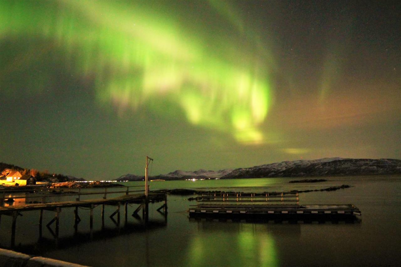 Hotel Laukvik Senja Botnhamn Exterior foto